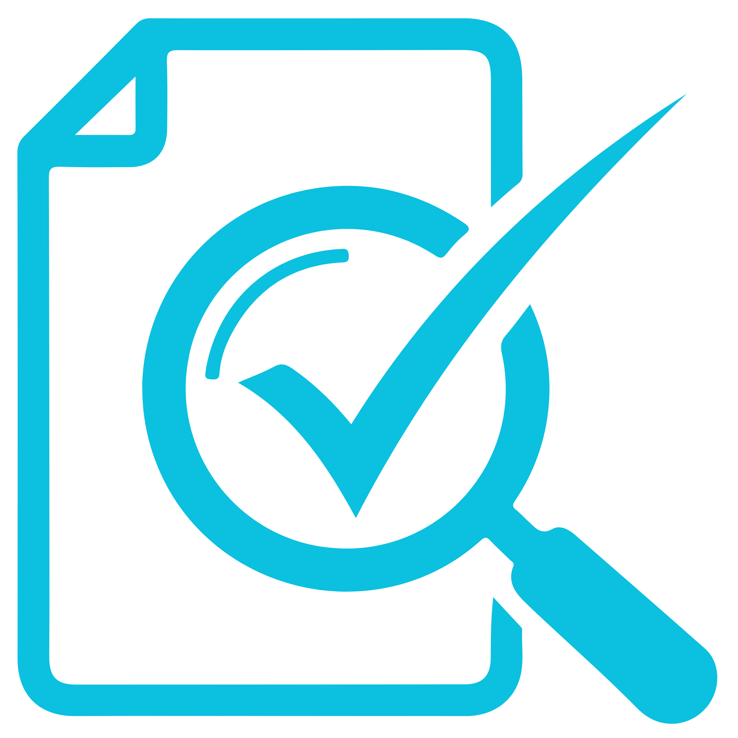 Meticulous Verification Icon